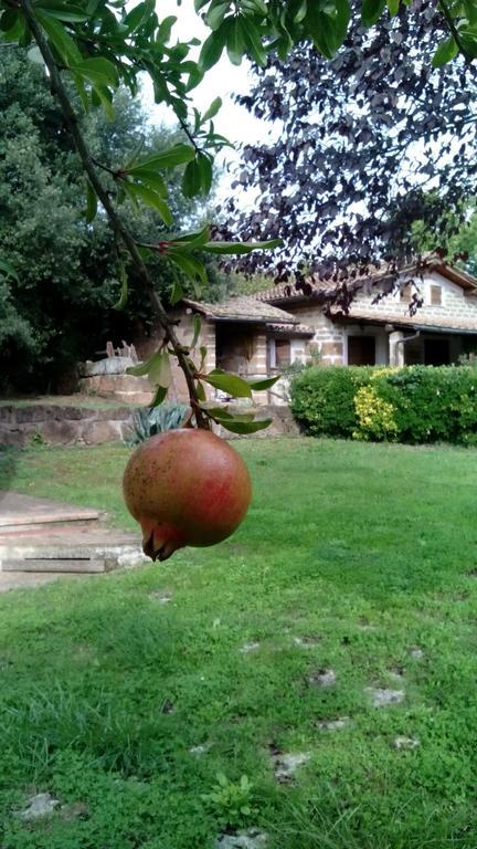 Agriturismo Casale Loreto Corchiano Екстериор снимка